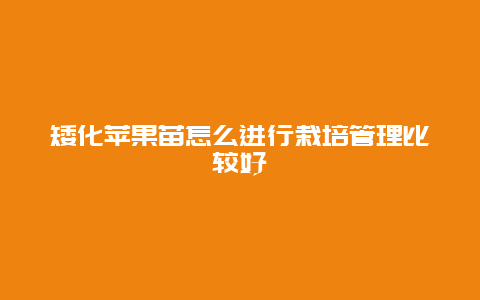 矮化苹果苗怎么进行栽培管理比较好