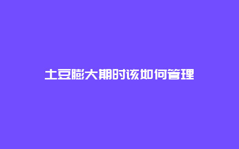 土豆膨大期时该如何管理