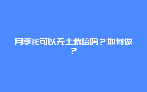 月季花可以无土栽培吗？如何做？