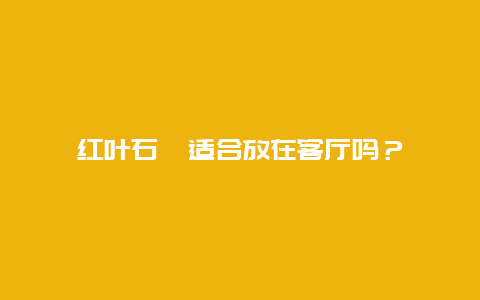 红叶石楠适合放在客厅吗？