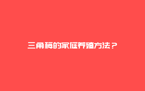 三角梅的家庭养殖方法？