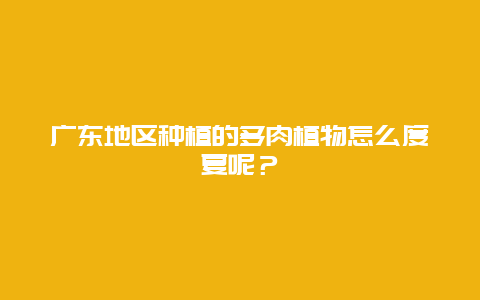 广东地区种植的多肉植物怎么度夏呢？