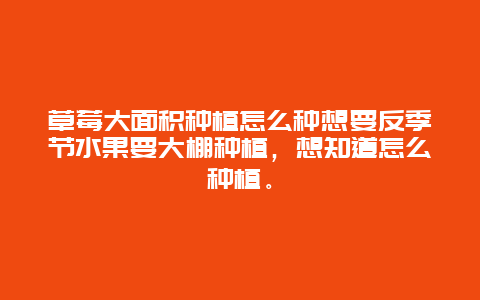 草莓大面积种植怎么种想要反季节水果要大棚种植，想知道怎么种植。