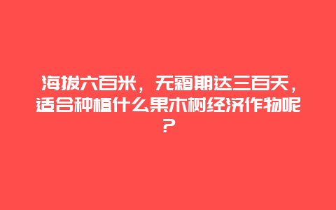 海拔六百米，无霜期达三百天，适合种植什么果木树经济作物呢？