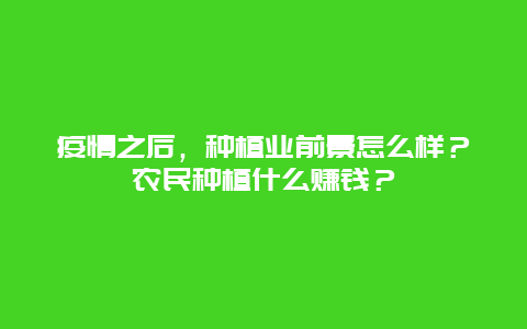 疫情之后，种植业前景怎么样？农民种植什么赚钱？