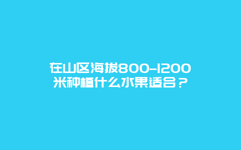 在山区海拔800–1200米种植什么水果适合？