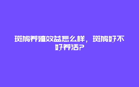 斑鸠养殖效益怎么样，斑鸠好不好养活?