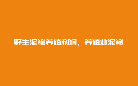 野生泥鳅养殖利润，养殖业泥鳅