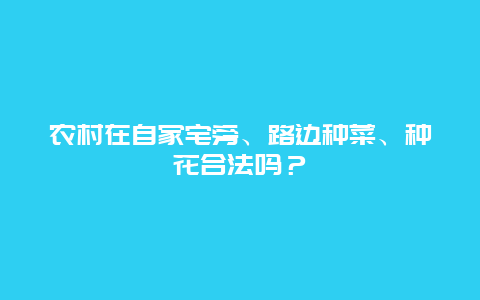 农村在自家宅旁、路边种菜、种花合法吗？