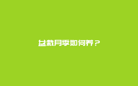 盆栽月季如何养？