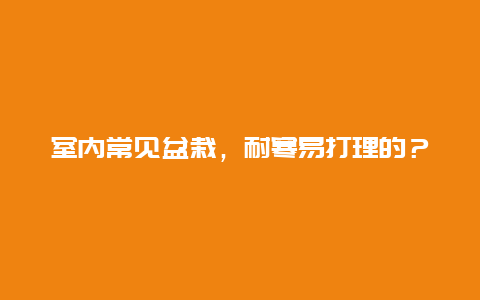 室内常见盆栽，耐寒易打理的？