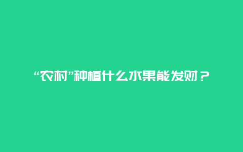 “农村”种植什么水果能发财？