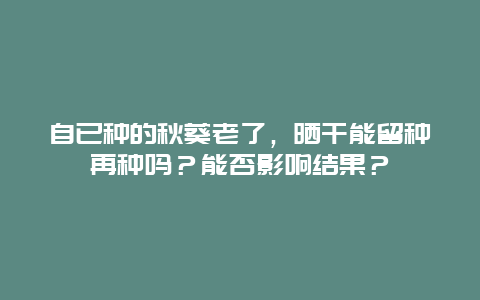 自已种的秋葵老了，晒干能留种再种吗？能否影响结果？