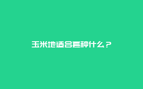 玉米地适合套种什么？