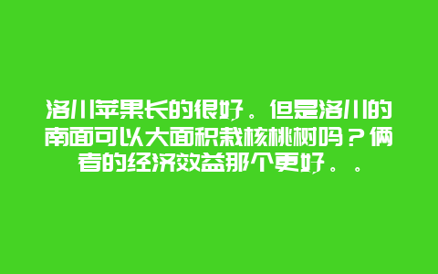 洛川苹果长的很好。但是洛川的南面可以大面积栽核桃树吗？俩者的经济效益那个更好。。