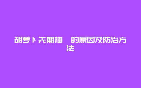 胡萝卜先期抽薹的原因及防治方法