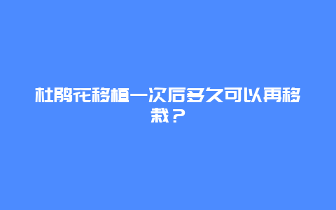 杜鹃花移植一次后多久可以再移栽？