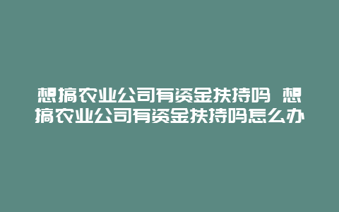 想搞农业公司有资金扶持吗 想搞农业公司有资金扶持吗怎么办