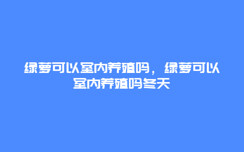 绿萝可以室内养殖吗，绿萝可以室内养殖吗冬天