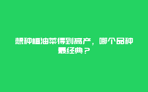 想种植油菜得到高产，哪个品种最经典？