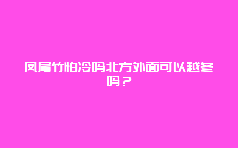 凤尾竹怕冷吗北方外面可以越冬吗？