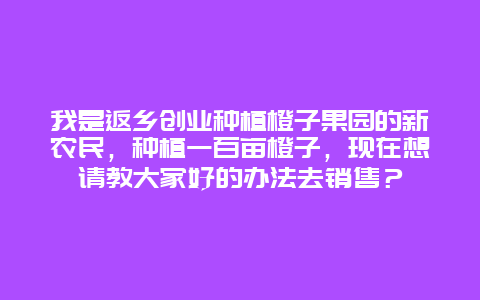 我是返乡创业种植橙子果园的新农民，种植一百亩橙子，现在想请教大家好的办法去销售？