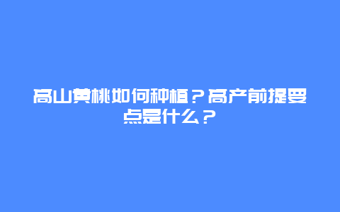 高山黄桃如何种植？高产前提要点是什么？