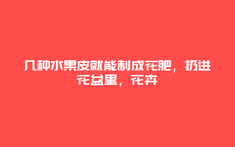 几种水果皮就能制成花肥，扔进花盆里，花卉