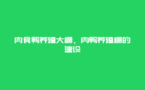 肉食鸭养殖大棚，肉鸭养殖棚的建设