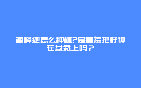 蜜释迦怎么种植?是直接把籽种在盆栽上吗？