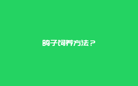 鸽子饲养方法？