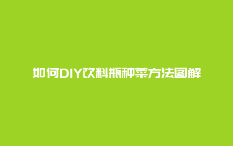 如何DIY饮料瓶种菜方法图解