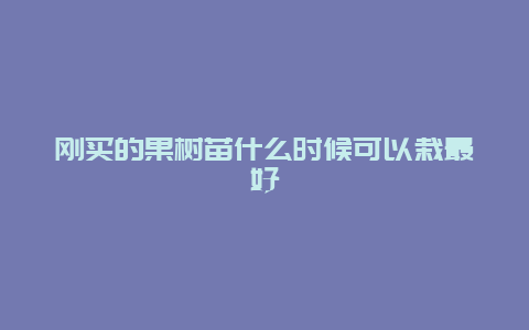 刚买的果树苗什么时候可以栽最好