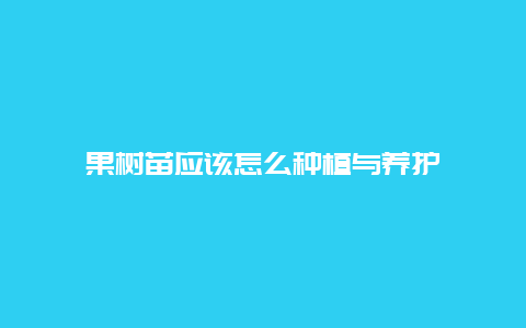 果树苗应该怎么种植与养护