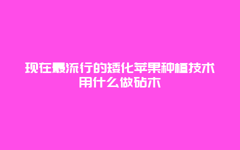 现在最流行的矮化苹果种植技术用什么做砧木