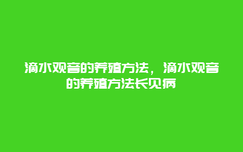 滴水观音的养殖方法，滴水观音的养殖方法长见病