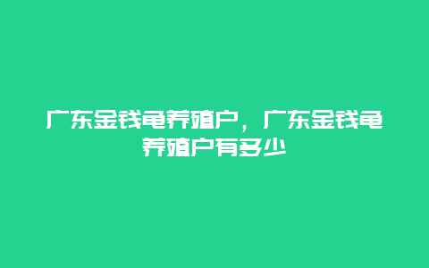 广东金钱龟养殖户，广东金钱龟养殖户有多少