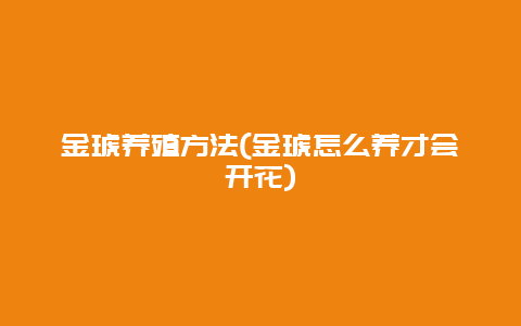 金琥养殖方法(金琥怎么养才会开花)