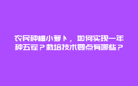 农民种植小萝卜，如何实现一年种五茬？栽培技术要点有哪些？