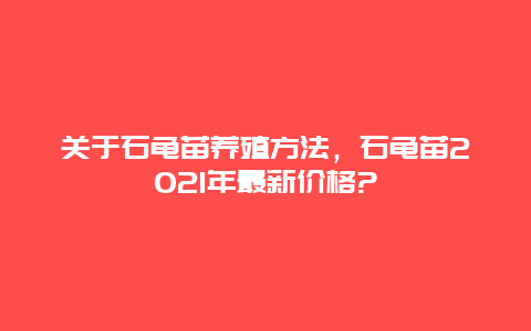 关于石龟苗养殖方法，石龟苗2021年最新价格?