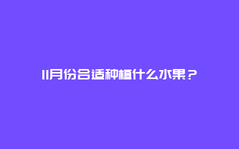 11月份合适种植什么水果？