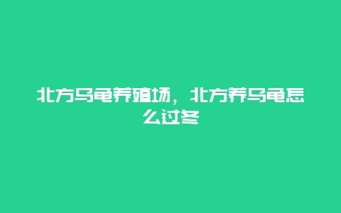 北方乌龟养殖场，北方养乌龟怎么过冬