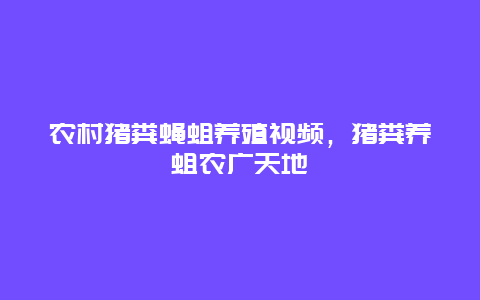 农村猪粪蝇蛆养殖视频，猪粪养蛆农广天地