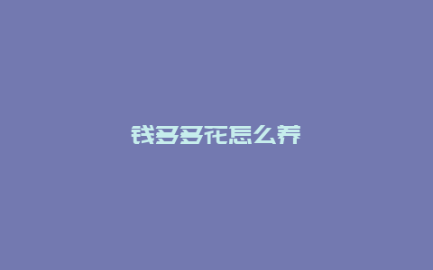 钱多多花怎么养