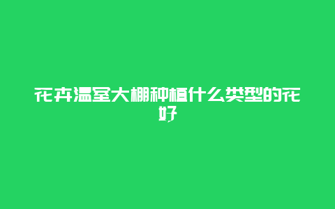 花卉温室大棚种植什么类型的花好