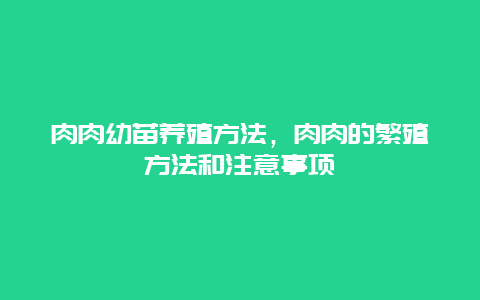 肉肉幼苗养殖方法，肉肉的繁殖方法和注意事项