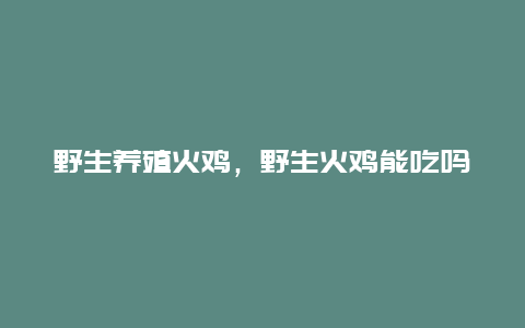 野生养殖火鸡，野生火鸡能吃吗