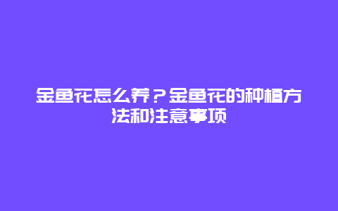 金鱼花怎么养？金鱼花的种植方法和注意事项