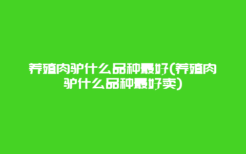 养殖肉驴什么品种最好(养殖肉驴什么品种最好卖)