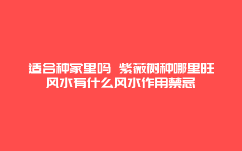 适合种家里吗 紫薇树种哪里旺风水有什么风水作用禁忌